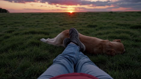 relaxing with a golden retriever at sunset in a grassy field