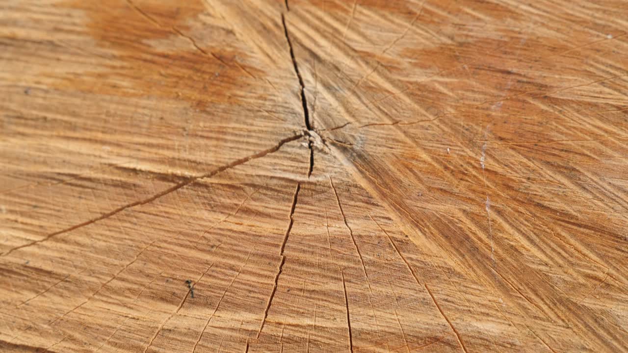 Firewood tree logs surface made with splitting maul slow tilt 4k
