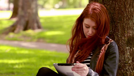 pretty redhead using tablet pc in the park