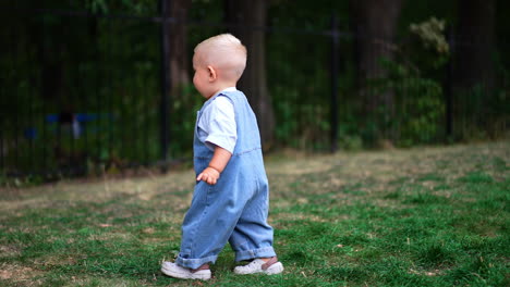 blond baby boy walking by the grass. rear view of a child in jeans romper heading to the fence. blurred backdrop.