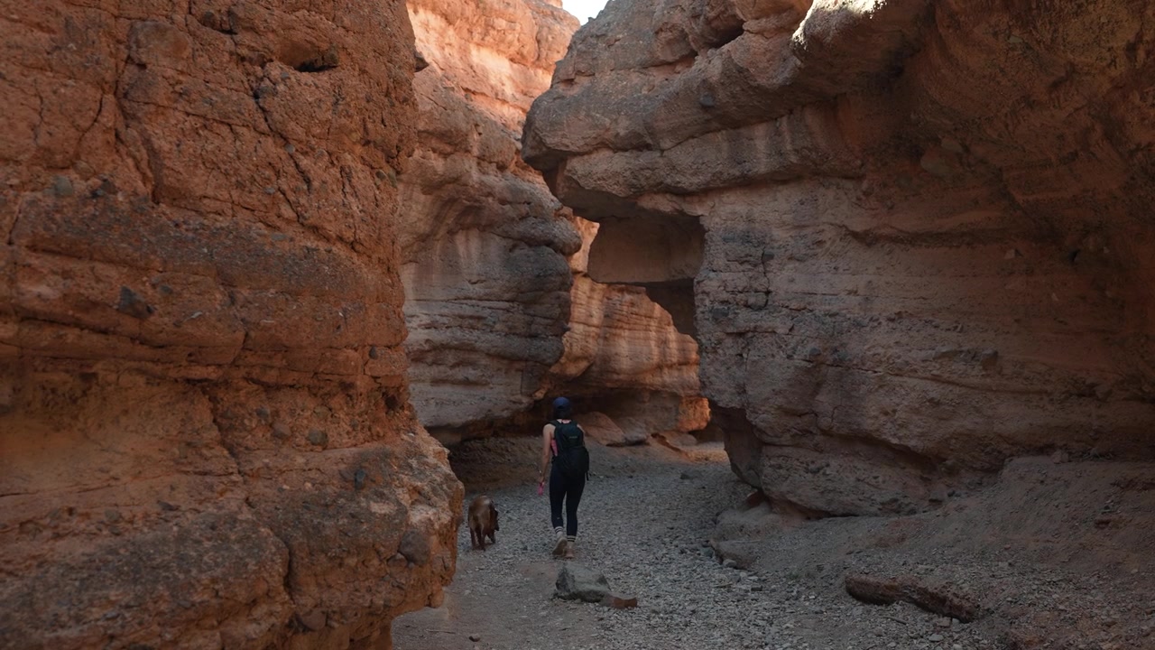 Mujer con perro con correa caminando en un cañón estrecho y erosionado, sendero del Cañón White Owl en Lake Mead, Nevada, EE. UU.
