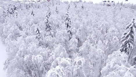 Empujando-De-Izquierda-A-Derecha-Con-Vistas-Místicas-Del-Bosque-Mixto-Cubierto-De-Nieve