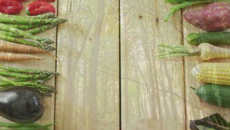 fresh vegetables arranged on wooden surface with forest animation overlay