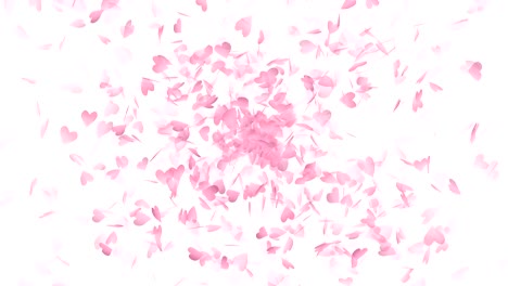 pink paper heart loop explosion.