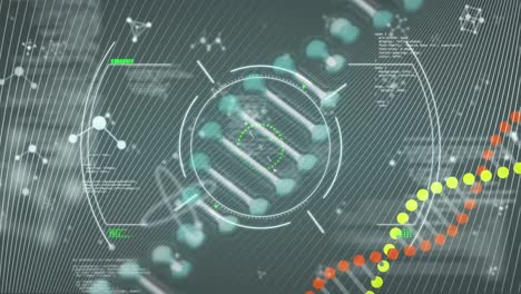 Animación-De-Una-Cadena-De-ADN-Girando-Sobre-Una-Pantalla-Negra-Con-Moléculas-Y-Datos-Diversos