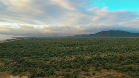 Drone-Volando-Sobre-El-Campo-Con-Neblina