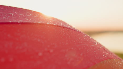 nahaufnahme eines nassen regenbogen-schirms