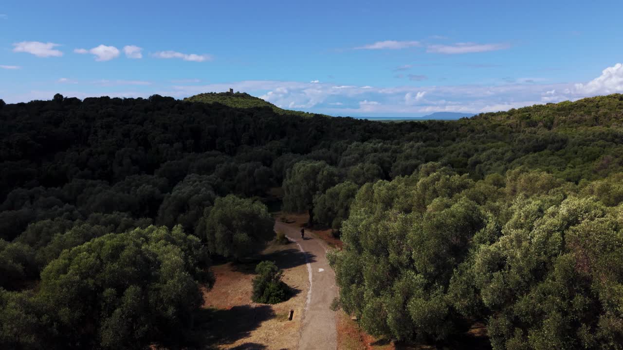 Young man on e-bike riding through olive grove and pine tree forest at Maremma, Tuscany. Coastal aerial