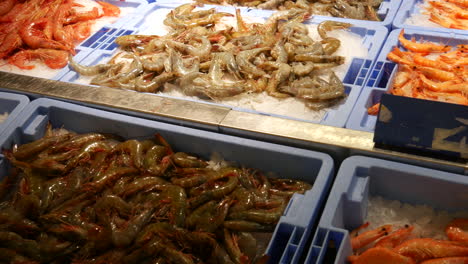 variedad de camarones frescos y mariscos de camarón en hielo, exhibidos para delicias culinarias, perfectos para temas de mercado de mariscos y segmentos de cocina gourmet