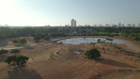 An-aerial-view-on-a-calm-afternoon-at-the-Ramat-Gan-Safari-when-it-is-empty-of-visitors