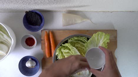 typical kimchi making process, male hands applying salt to cabbage