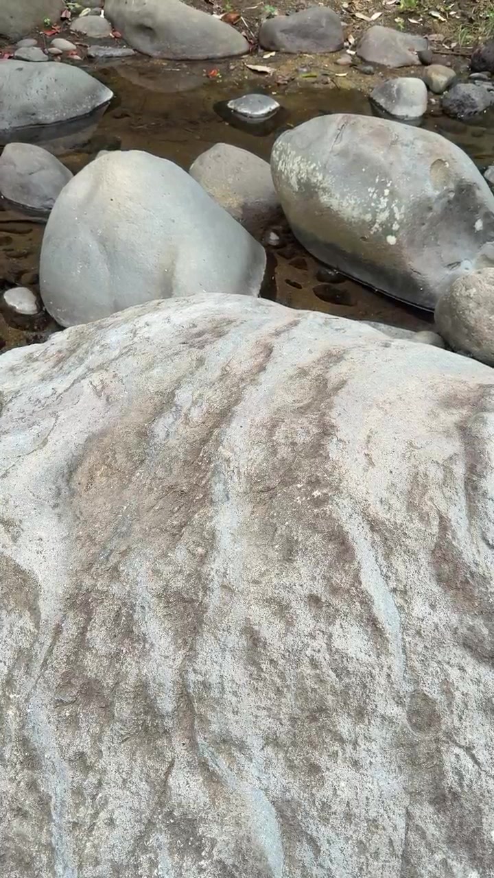 Grandes Pedras Lisas de Rio ao Longo de um Riacho Raso