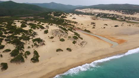 seaside island sardinia in italy at a natural dune landscape at a tourist vacation sea coast sand beach sandy bay with clear blue turquoise water