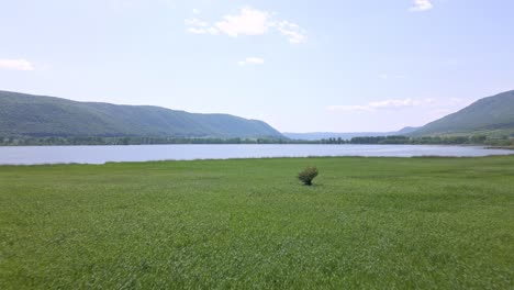 Sobre-El-Río-En-El-Campo-Y-El-Lago