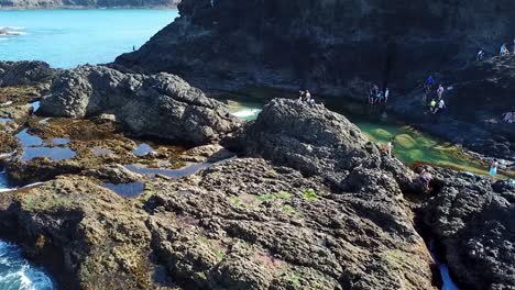 aerial shot of mermaid pool in new zealand
