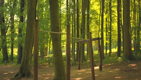 Calisthenics-Bars-In-The-Forest-In-Brussels,-Belgium