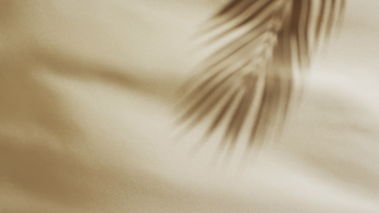 Animation of shadow of palm tree leaf moving with copy space over white fabric background