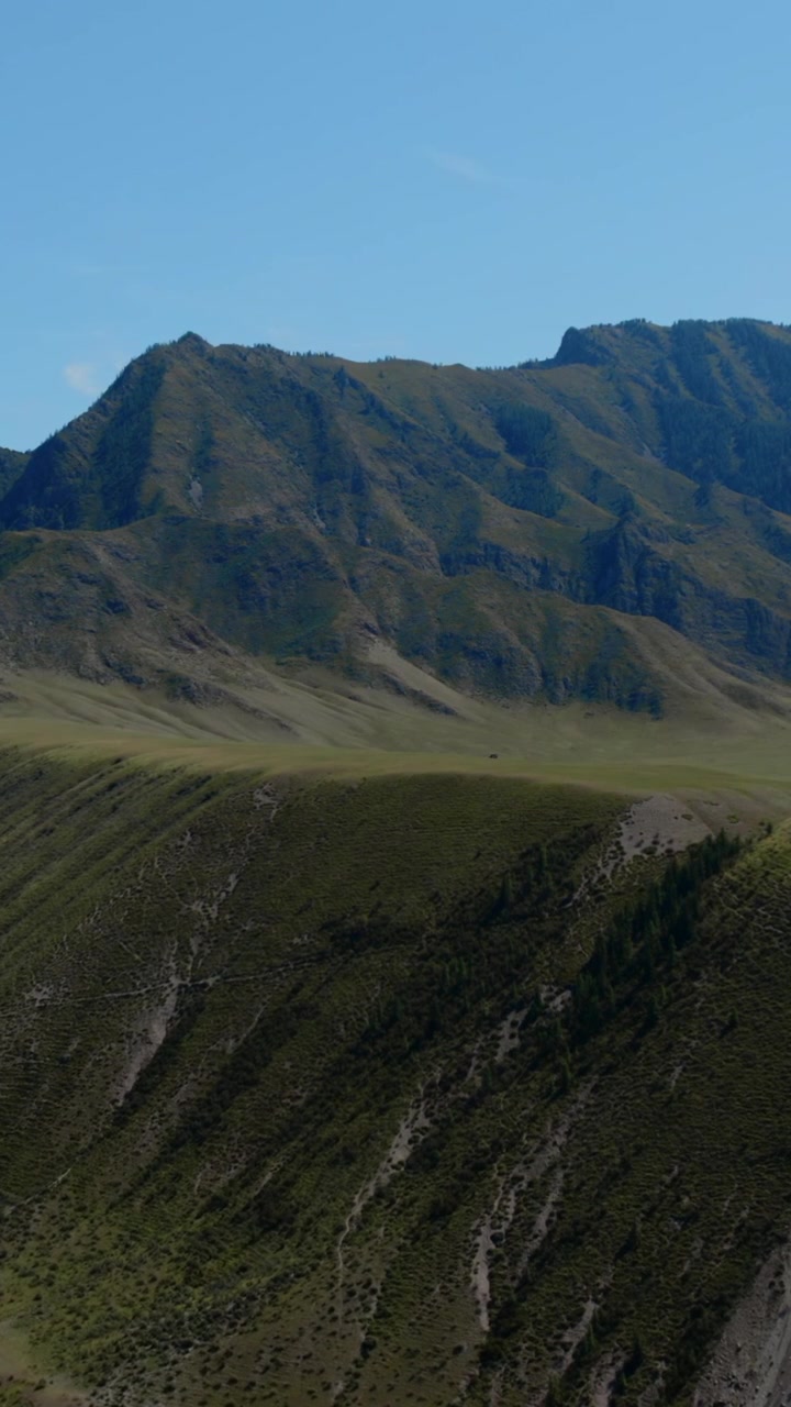 Ampia vista panoramica di verdi creste montuose e terreno vallivo ondulato lungo la Chuysky Trakt nella Repubblica dell'Altai, Russia, sotto un cielo azzurro e limpido.