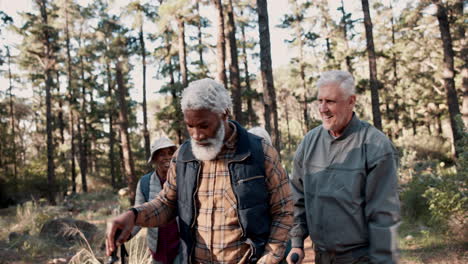 amigos haciendo senderismo en un bosque.