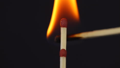 slow ignition of ignition of two matches close up macro shot captured from the left side on the black background in slow motion at 120 fps