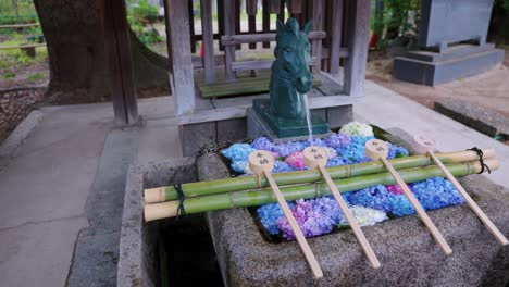 fujinomori chozuya, hand purification basin with japanese hydrangea for summer