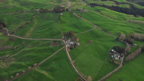 farm houses manor around green grass field rural agriculture field, aerial drone