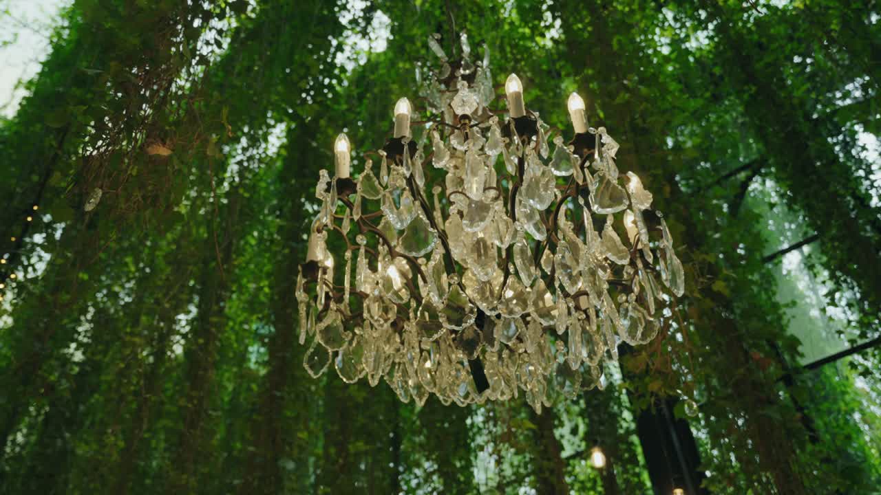 elegant chandelier lit under glass ceiling surrounded by green foliage
