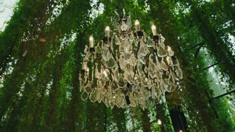 elegant chandelier lit under glass ceiling surrounded by green foliage