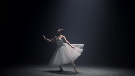 sensual ballerina dancing on stage. graceful ballet dancer performing indoors.