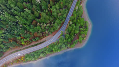 cars moving along coastal rural road through forest in port alberni region, british columbia canada, aerial top down rising up orbital view