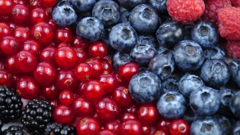 ripe raw berries of raspberry, red currant, blackberry and great bilberry, background