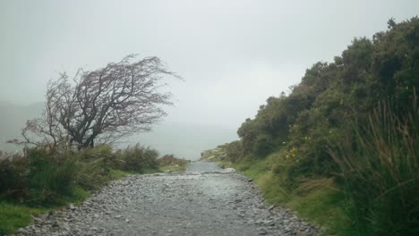 strong wind and rain frantically toss the country landscape of snowdonia, wales, uk