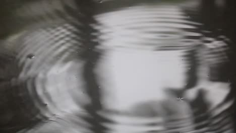 closeup, individual raindrops fall upon reflective water surface, bangladesh