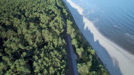 árboles del bosque krynica morska junto a la playa en el asador del vistula