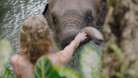 woman playing with elephant in zoo having fun in pool in tropical sanctuary