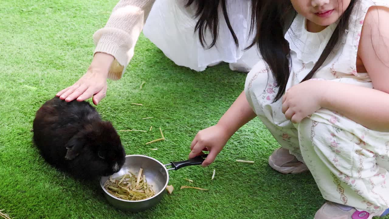 若い女の子がお母さんに優しく撫でられながら、黒いウサギに食べ物を与えている。
