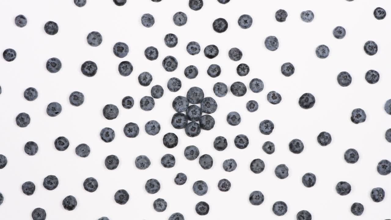 los arándanos se colocan uno por uno sobre un fondo blanco. vista superior. movimiento de bucle. rotación 360.