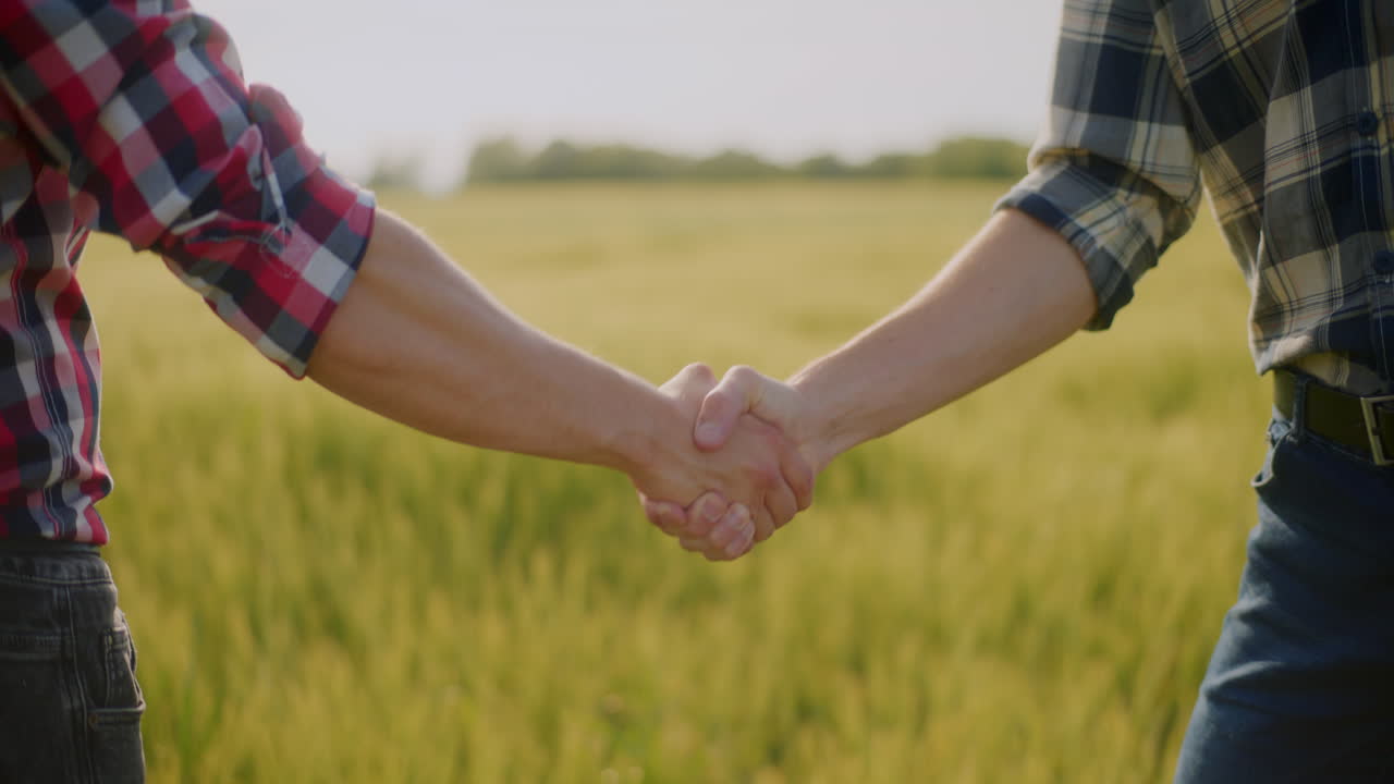 los agricultores se estrechan la mano en el campo de trigo