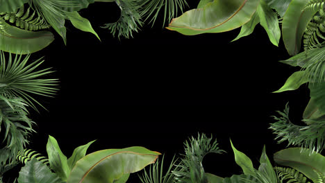 frame from tropical plants moving in the wind in a loop animation with alpha channel