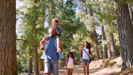 family on hiking adventure through forest