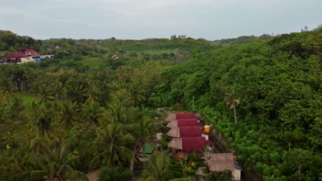 Rural-Hotel-Huts-and-cottage-bungalows-amid-lush-forest,-Nusa-Penida
