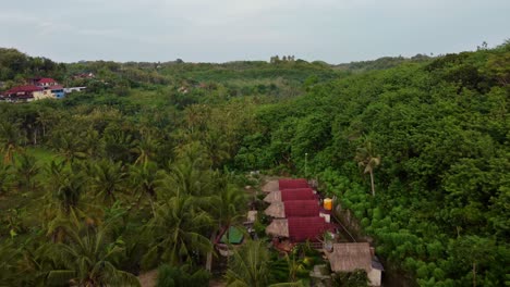 rural hotel huts and cottage bungalows amid lush forest, nusa penida