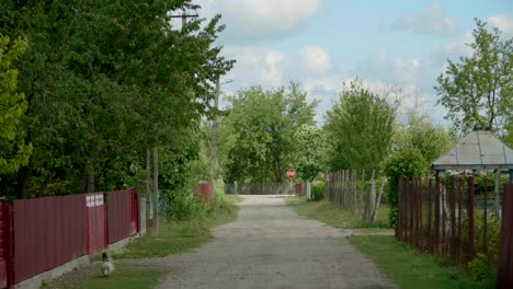 Feldweg-Durch-Das-Dorf-Auf-Dem-Land,-Umgeben-Von-Hinterhofzäunen