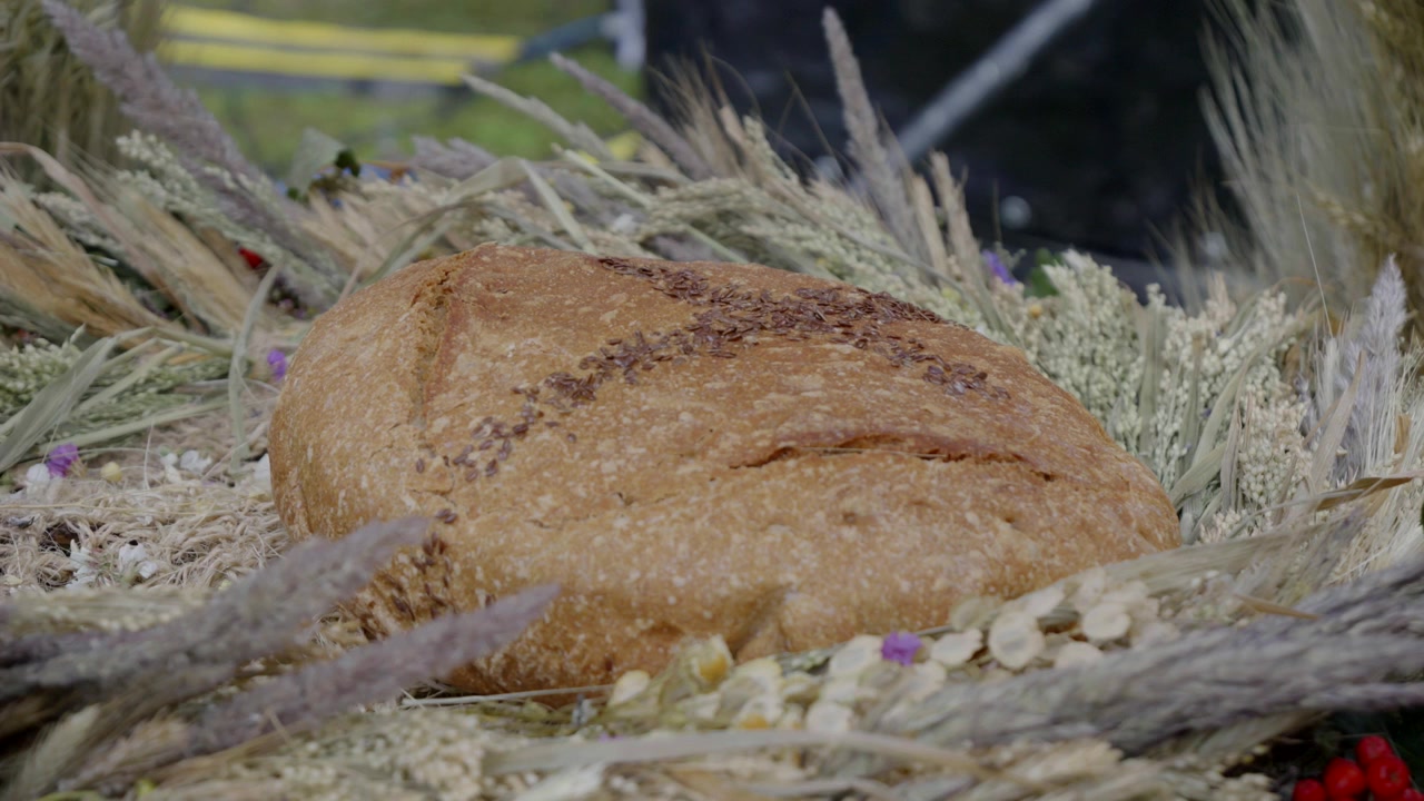 Traditional round bread presented among wheat and natural decorations at a harvest festival celebration