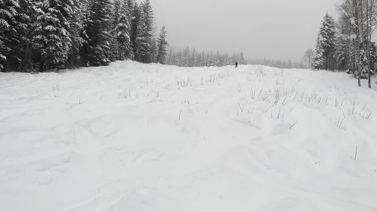 Schwenk von oben nach unten über eine pechschwarze Skibike-Strecke in Mt.