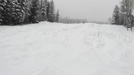 Schwenk-Von-Oben-Nach-Unten-Auf-Der-Pechschwarzen-Skiradpiste-In-Mt