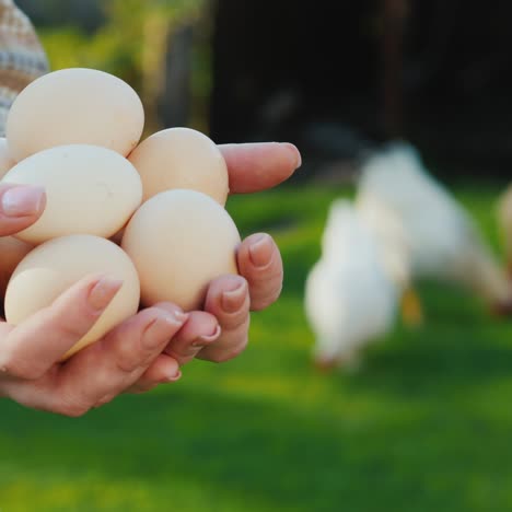 woman holds a few chicken eggs