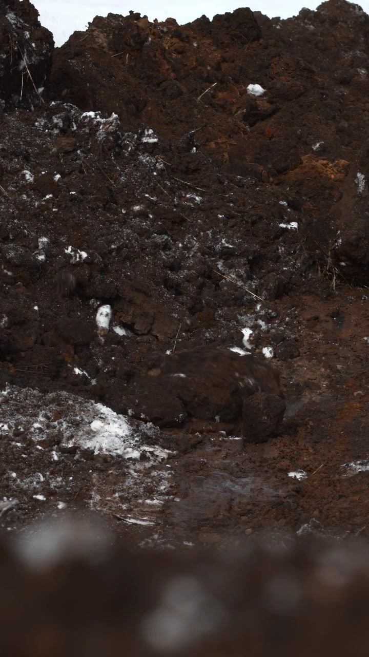 Lowangle Frozen Pit With Churned Soil And Snow Rim, Cratered Ground, Wet Mud Sheen, Hardened Layers, Bleak