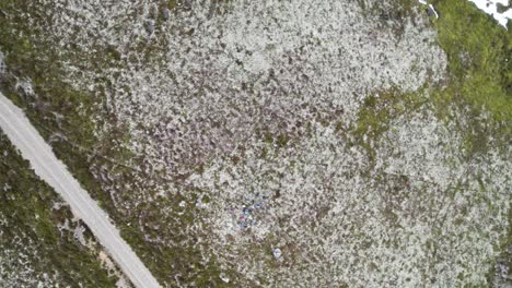 imágenes de drones aéreos girando en espiral hacia arriba sobre un grupo de excursionistas almorzando entre un paisaje irregular de liquen verde, musgo y brezo junto a un sendero de montaña cerca de braemar, escocia