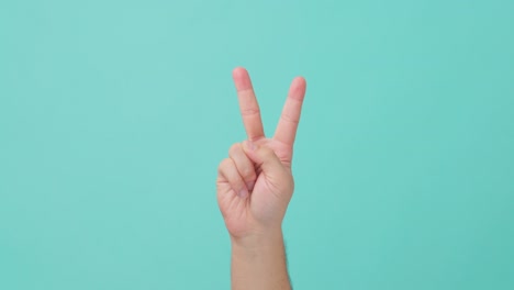 close up shot of human hand raising, with v sign. the man showing hand gesture in which the index and middle fingers are raised and separated to form a v. seen in isolate blue screen in background.